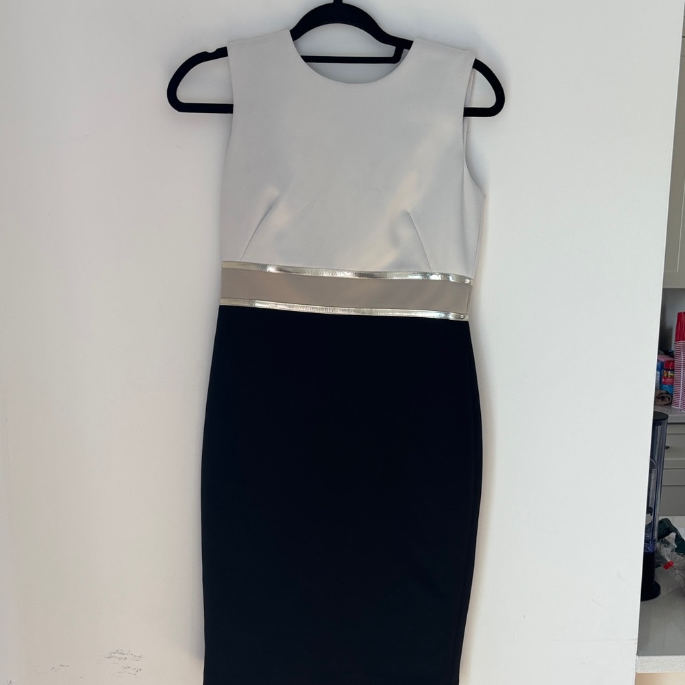Calvin Klein White and Black Sleeveless Sheath Dress with Metallic Waist